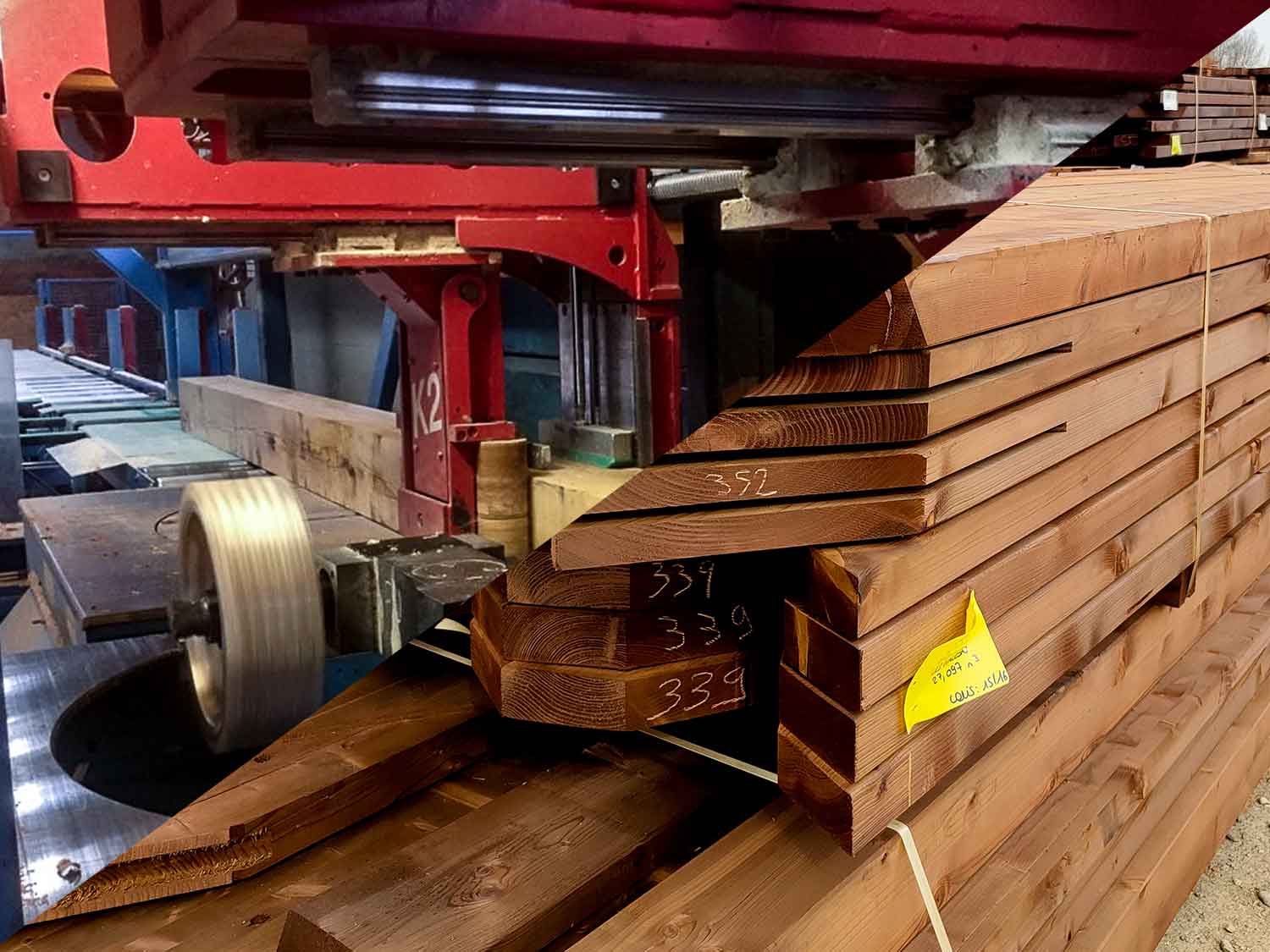 Vignolo-e-f Charpentes Bois pour bâtiments Industrielles : Un Service pour Vos Projets de Grande Envergure